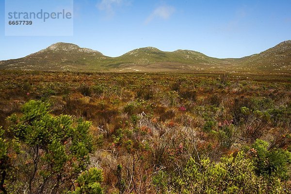 Südliches Afrika  Südafrika  Cape Point