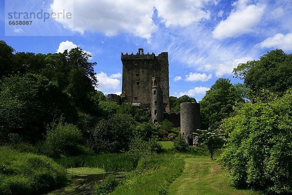 Blarney Castle  Irland