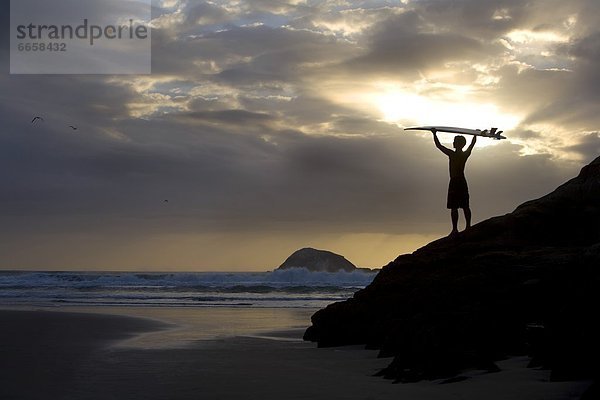 Strand  Muriwai Beach  neu