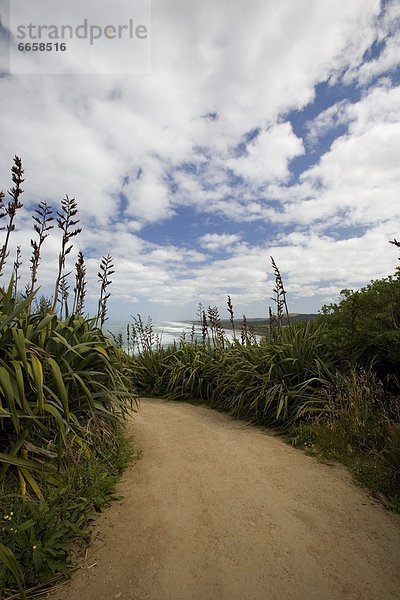 Muriwai Beach  Neuseeland