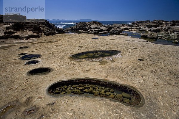 Gezeitenbecken British Columbia Kanada Vancouver Island