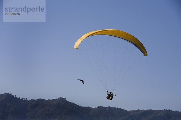 Ägypten  Falkner  Gleitschirmfliegen  Geier