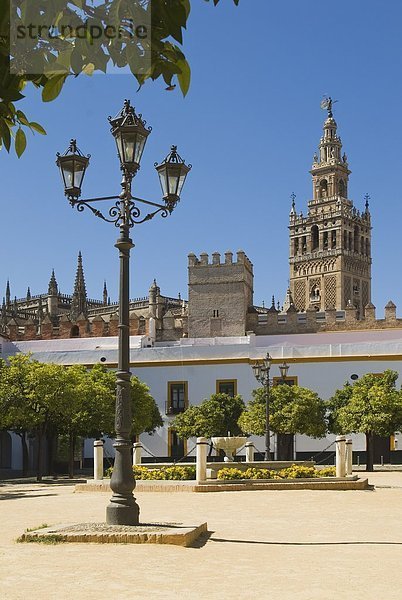 Hintergrund Kathedrale Andalusien Sevilla Spanien