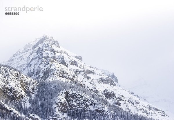 Lake Louise  Alberta  Banff  Kanada