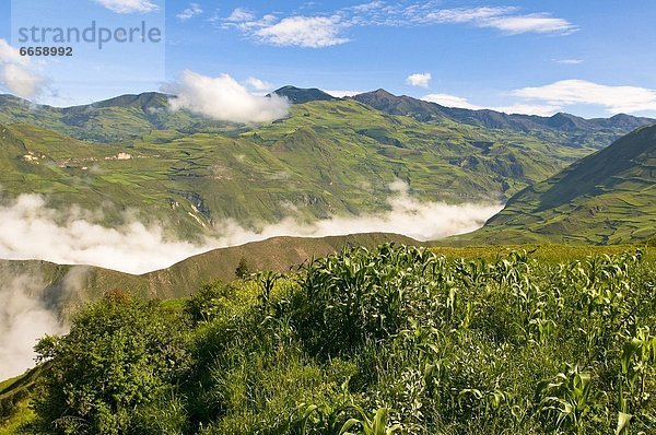 Ecuador  Südamerika