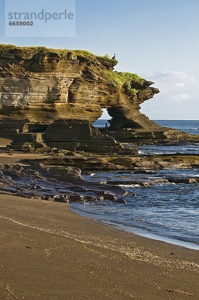 Galapagosinseln  Ecuador  James Bay  Südamerika