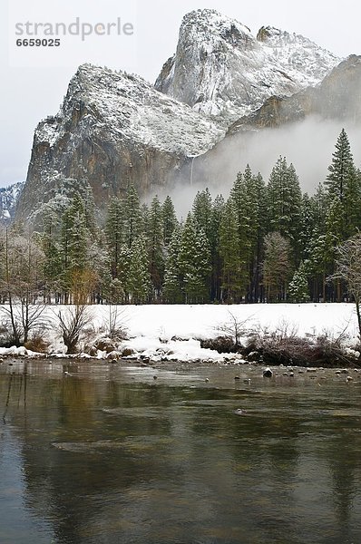 Vereinigte Staaten von Amerika  USA  Yosemite Nationalpark  Kalifornien