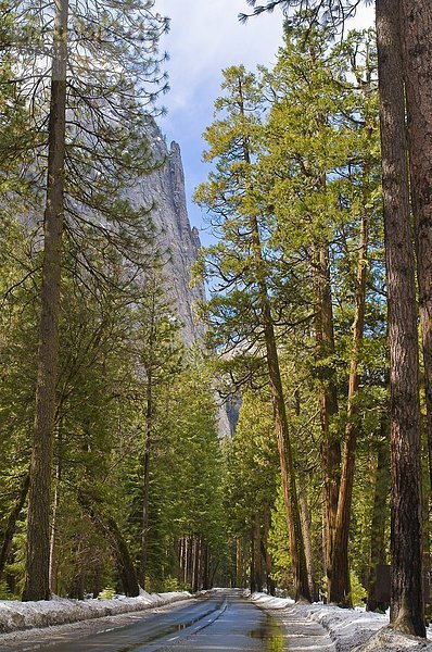 Vereinigte Staaten von Amerika  USA  Yosemite Nationalpark  Kalifornien