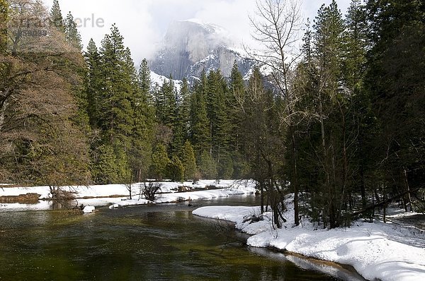 Vereinigte Staaten von Amerika  USA  Yosemite Nationalpark  Kalifornien