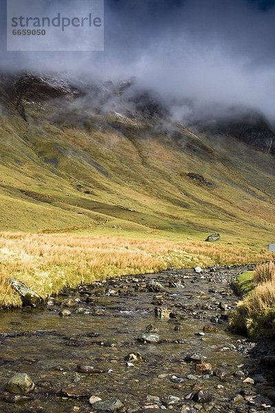 Großbritannien  Cumbria  England  Lake District  Gebirgsbach