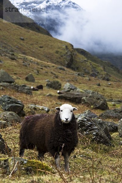 Cumbria  England  Lake District