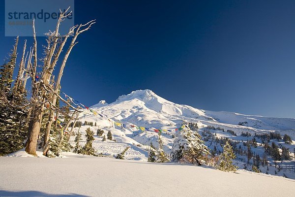 Vereinigte Staaten von Amerika  USA  Winter  Landschaft  Sonnenaufgang  Berg  Kapuze  Oregon