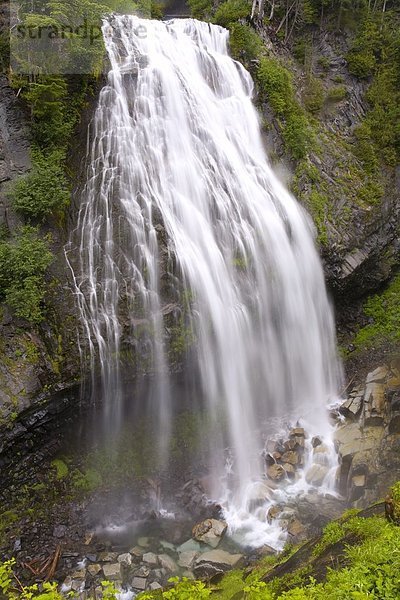 Vereinigte Staaten von Amerika  USA  Mount Rainier Nationalpark  Washington State