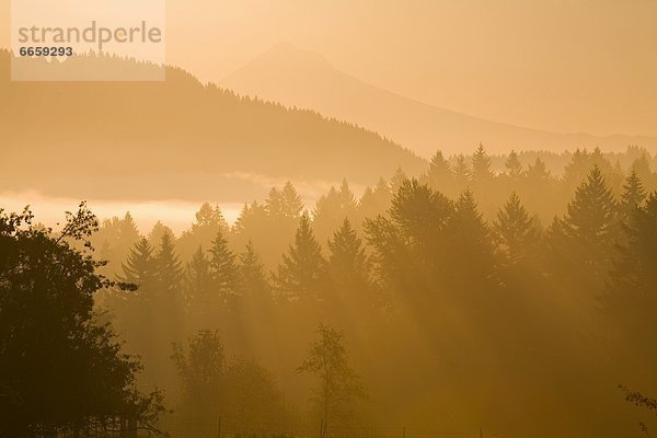 Vereinigte Staaten von Amerika  USA  Cascade Mountain  Oregon