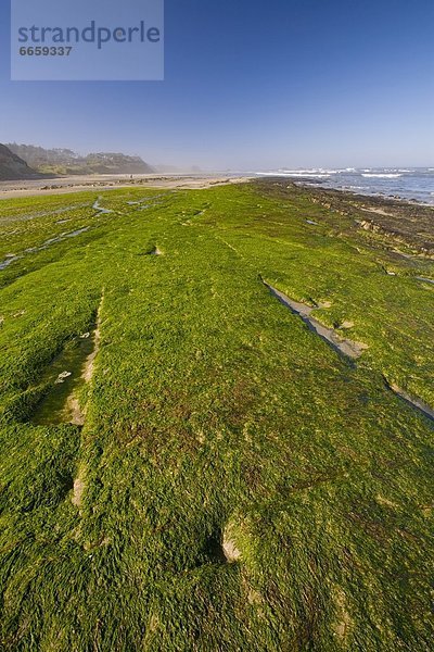 Vereinigte Staaten von Amerika  USA  Oregon