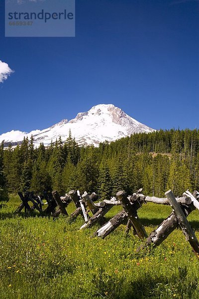 Vereinigte Staaten von Amerika USA Mount Hood Oregon