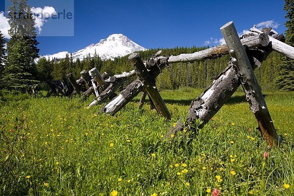 Vereinigte Staaten von Amerika USA Mount Hood Oregon