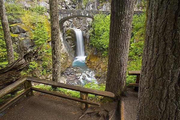 Vereinigte Staaten von Amerika  USA  Mount Rainier Nationalpark