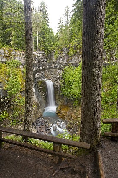 Vereinigte Staaten von Amerika  USA  Mount Rainier Nationalpark