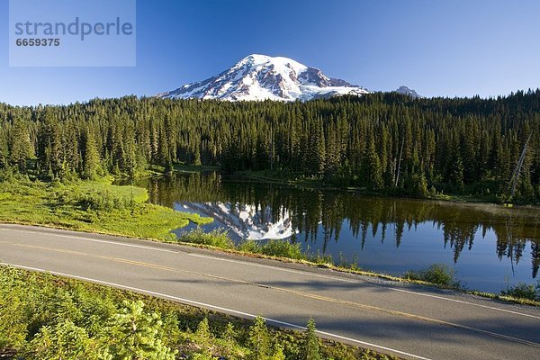 Vereinigte Staaten von Amerika  USA  Mount Rainier Nationalpark  Washington State