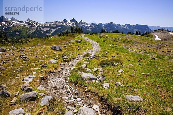 Vereinigte Staaten von Amerika  USA  Mount Rainier Nationalpark  Washington State