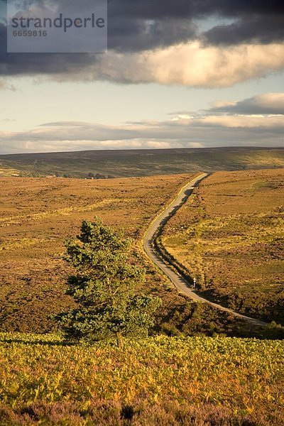 Yorkshire  England