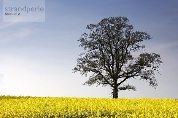 Yorkshire and the Humber  England