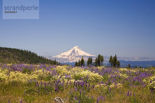 Vereinigte Staaten von Amerika  USA  Oregon