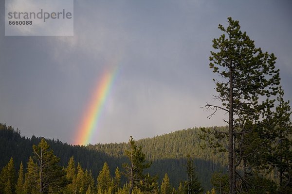Vereinigte Staaten von Amerika  USA  Mount Hood  Oregon  Regenbogen