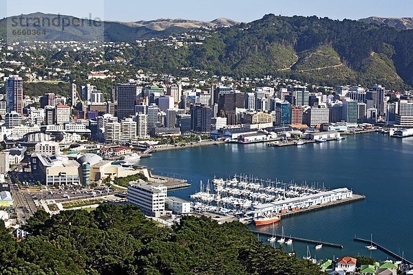 Wellington  Neuseeland