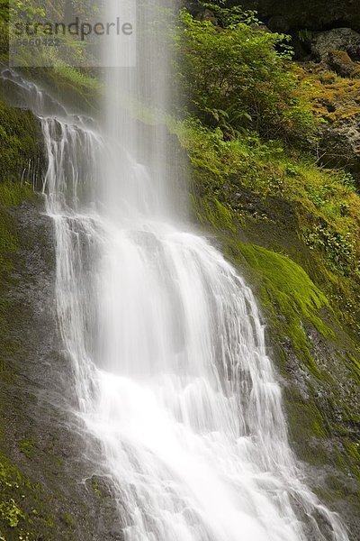 Vereinigte Staaten von Amerika  USA  Wasserfall  Oregon