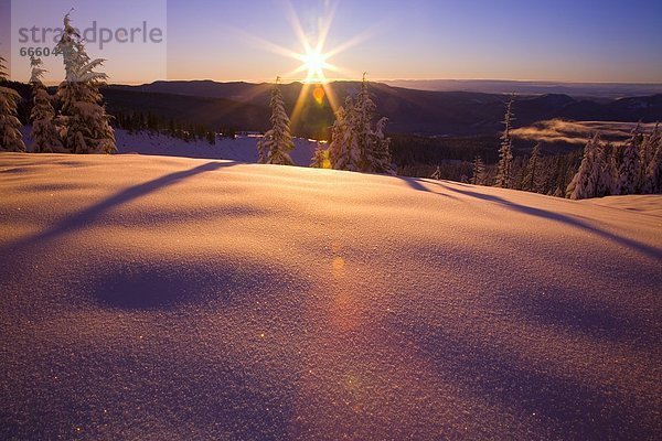 Vereinigte Staaten von Amerika  USA  Cascade Mountain  Oregon