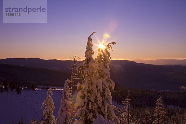 Vereinigte Staaten von Amerika  USA  Cascade Mountain  Oregon