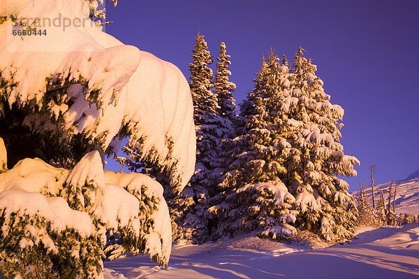 Vereinigte Staaten von Amerika  USA  Cascade Mountain  Oregon