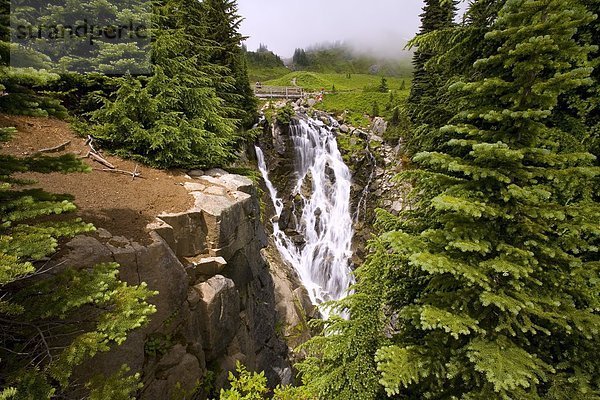 Vereinigte Staaten von Amerika  USA  Mount Rainier Nationalpark