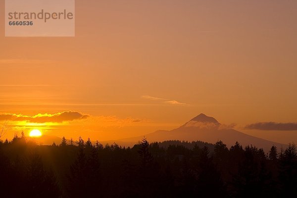 Vereinigte Staaten von Amerika  USA  Mount Hood  Oregon