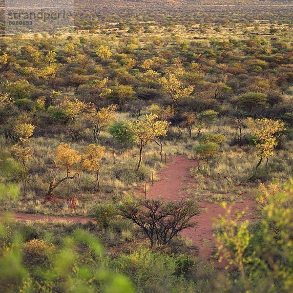 Landschaftlich schön  landschaftlich reizvoll  Namibia  Afrika