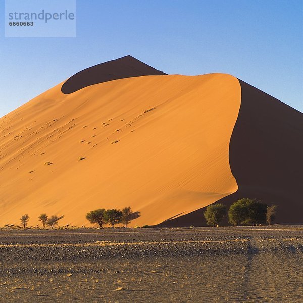 Düne  Namibia  Afrika