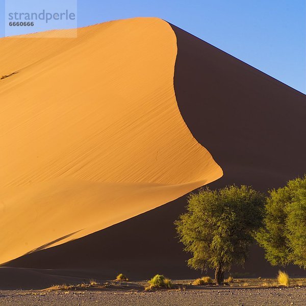 Düne  Namibia  Afrika