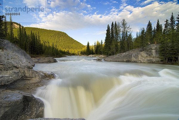 Wasserfall  Alberta  Kananaskis Country