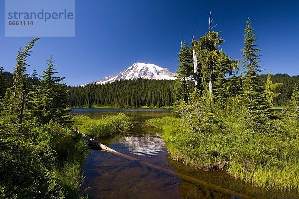 Vereinigte Staaten von Amerika  USA  Mount Rainier Nationalpark