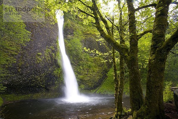 Vereinigte Staaten von Amerika USA Columbia River Gorge Oregon