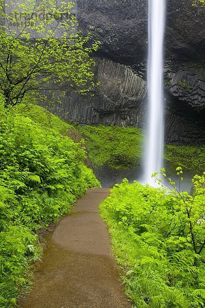 Vereinigte Staaten von Amerika  USA  Wasserfall  Columbia River Gorge  Oregon