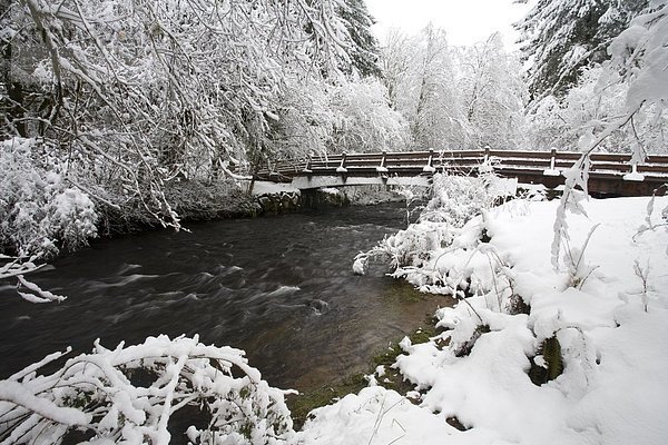 Vereinigte Staaten von Amerika  USA  Winterurlaub  Oregon