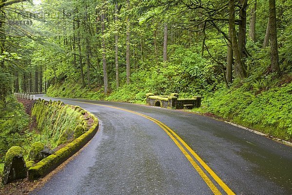 Vereinigte Staaten von Amerika  USA  Fernverkehrsstraße  Columbia River Gorge  Oregon