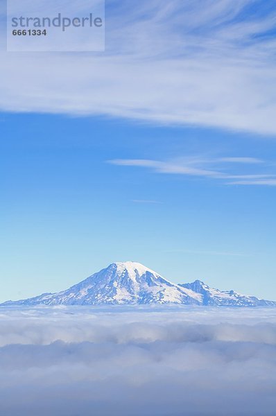 Vereinigte Staaten von Amerika  USA  Nebel  Mount Rainier Nationalpark