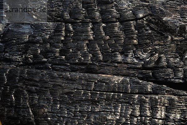 Holz Close-up Schwelbrand