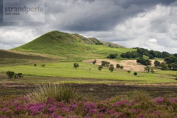 Hügel  England  North Yorkshire