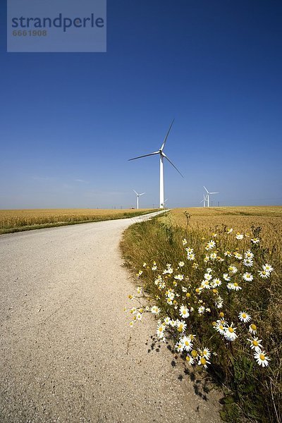 Windturbine Windrad Windräder England