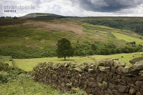 Hügel  England  North Yorkshire